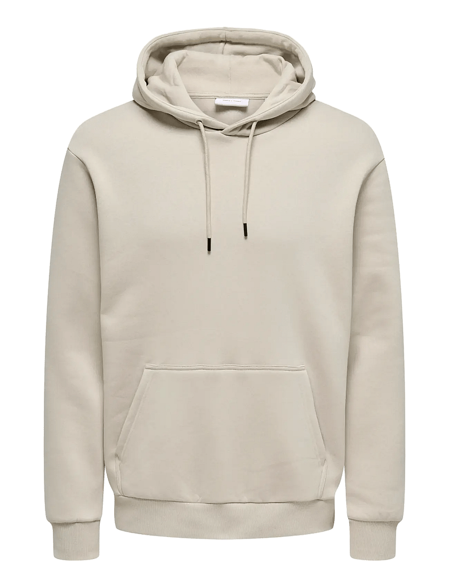 ONLY & SONS - ONSCERES HOODIE SWEAT NOOS - kapuzenpullover - silver lining - 0