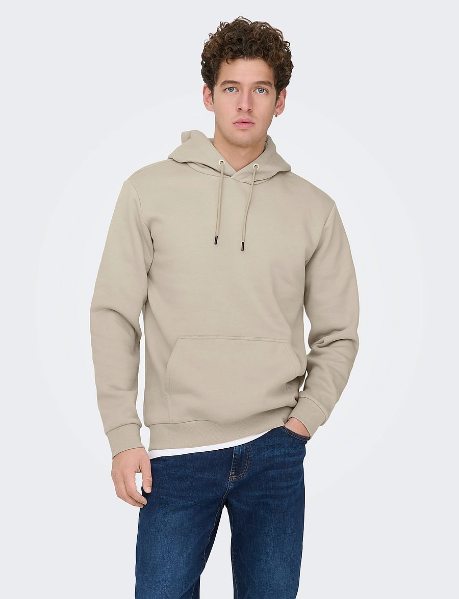 ONLY & SONS - ONSCERES HOODIE SWEAT NOOS - hoodies - silver lining - 0