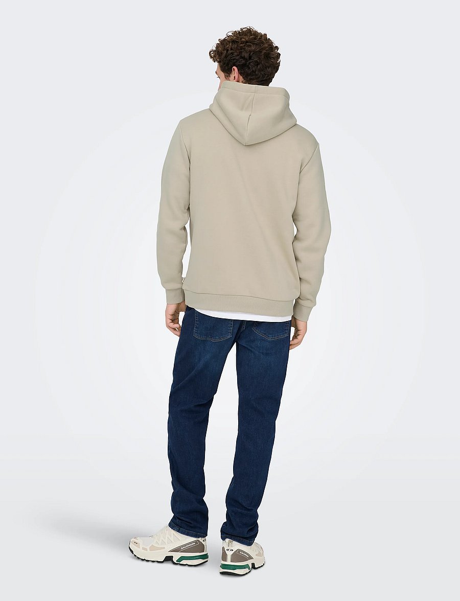 ONLY & SONS - ONSCERES HOODIE SWEAT NOOS - hoodies - silver lining - 3