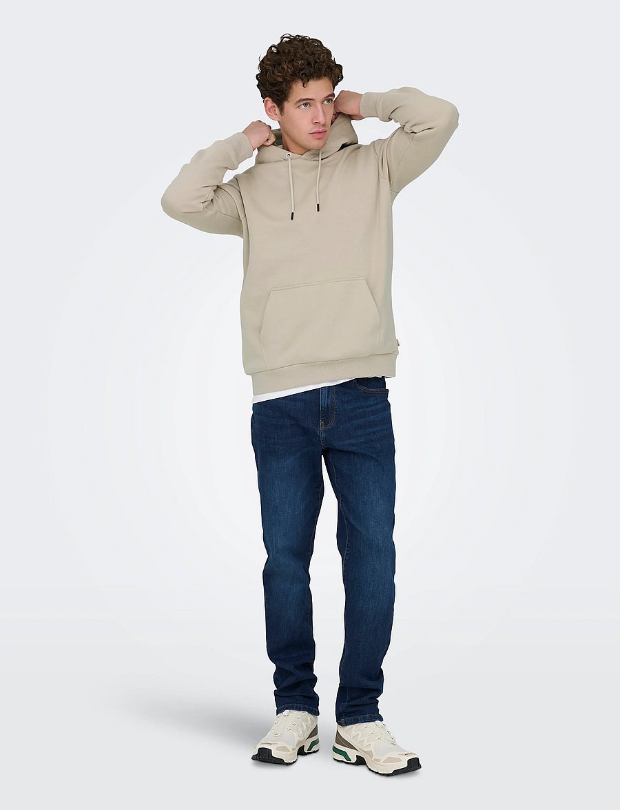 ONLY & SONS - ONSCERES HOODIE SWEAT NOOS - hoodies - silver lining - 4