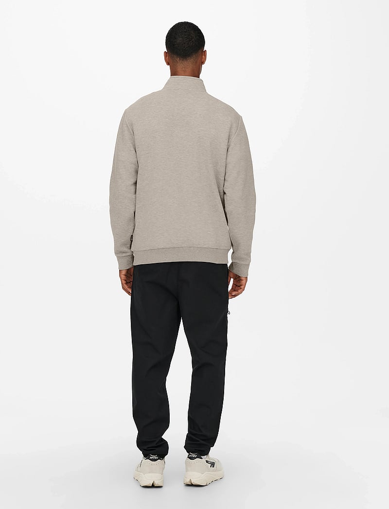 ONLY & SONS - ONSCERES LIFE HALF ZIP SWEAT - kollektsioonid - silver lining - 3
