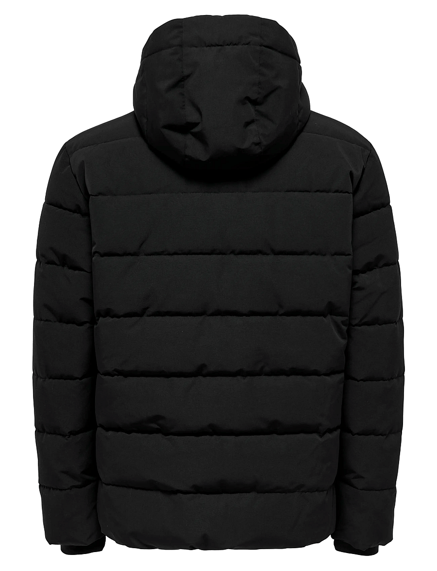 ONLY & SONS - ONSCAYSON PUFFA OTW NOOS - daunenjacken - black - 2