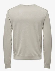 ONLY & SONS - ONSWYLER LIFE REG 14 LS CREW KNIT NOOS - laagste prijzen - silver lining - 1