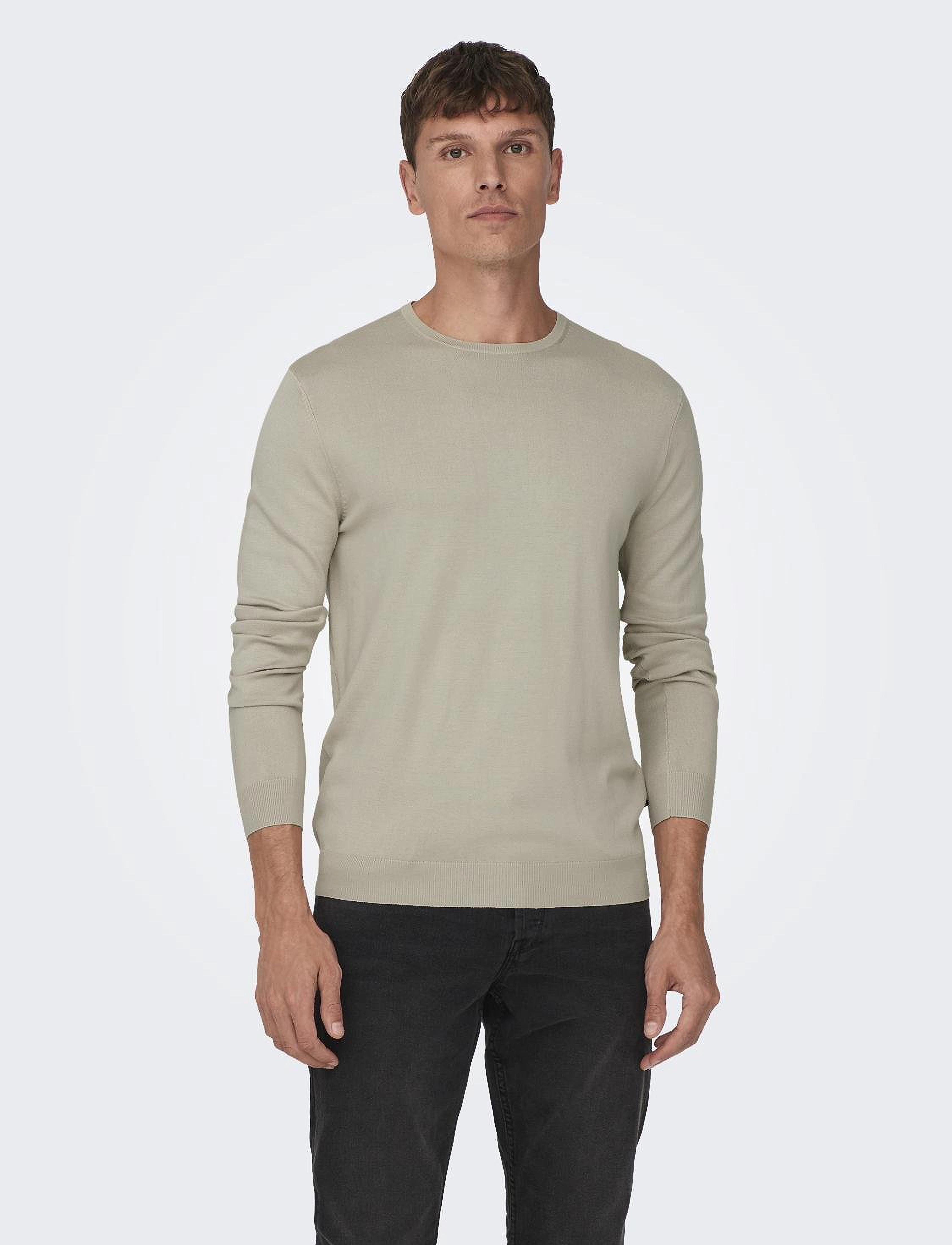 ONLY & SONS ONSWYLER LIFE REG 14 LS CREW KNIT NOOS - Looks for less - SILVER LINING / beige