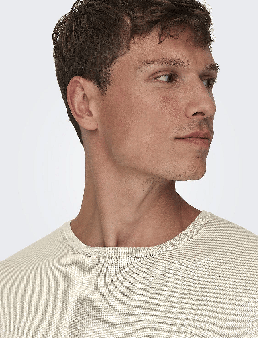 ONLY & SONS - ONSWYLER REG 14 LS CREW KNIT NOOS - rundhals - silver lining - 5