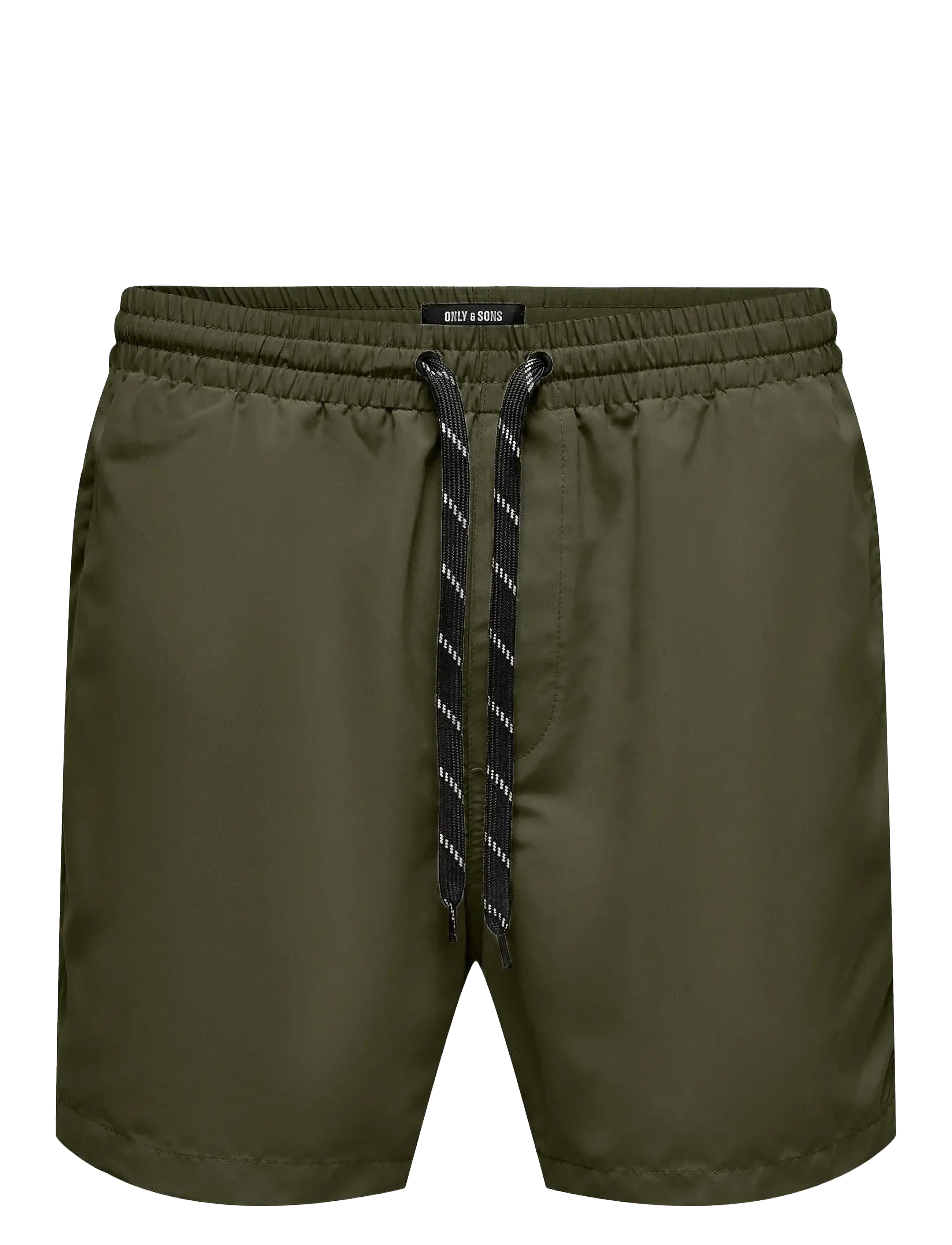 OLIVE NIGHT