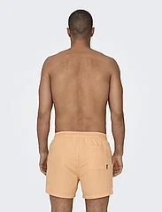 ONLY & SONS - ONSTED LIFE SHORT SWIM NOOS - lowest prices - orange chiffon - 3
