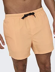 ONLY & SONS - ONSTED LIFE SHORT SWIM NOOS - lowest prices - orange chiffon - 5
