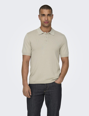 ONLY & SONS - ONSWYLER LIFE REG 14 SS POLO KNIT NOOS - die niedrigsten preise - silver lining - 2
