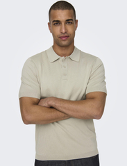 ONLY & SONS - ONSWYLER LIFE REG 14 SS POLO KNIT NOOS - die niedrigsten preise - silver lining - 4