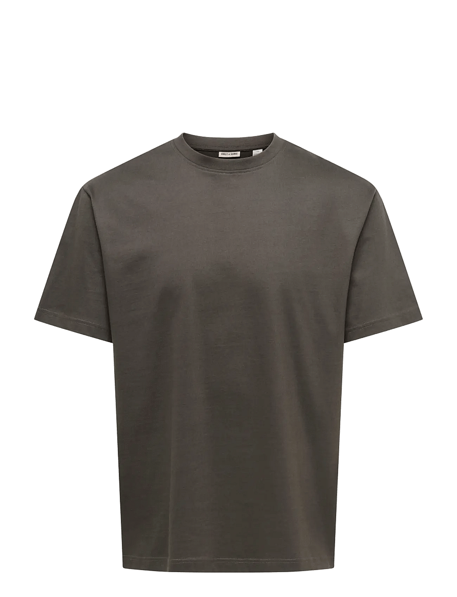 ONLY & SONS - ONSFRED LIFE RLX SS TEE NOOS - kurzärmelige t-shirts - beluga - 1