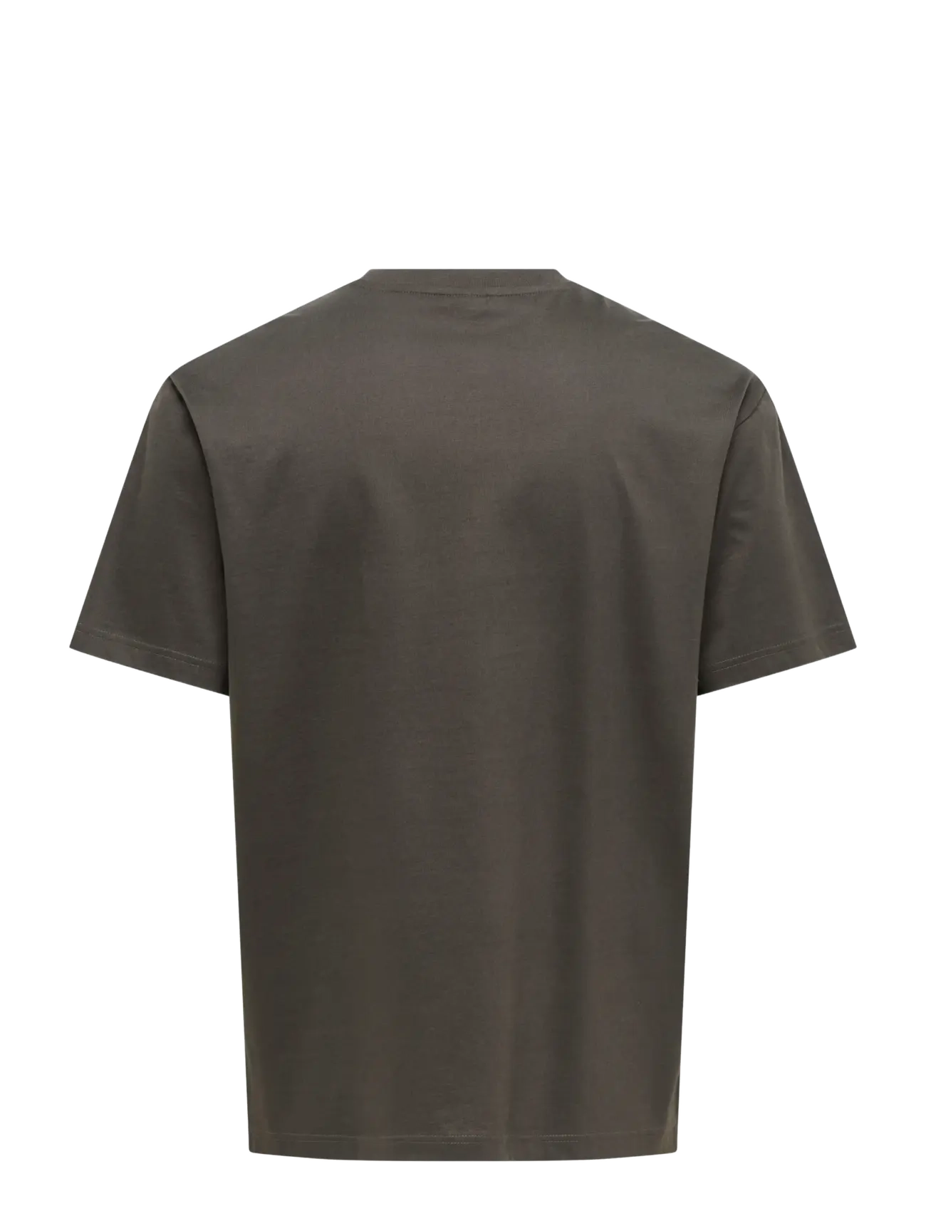 ONLY & SONS - ONSFRED LIFE RLX SS TEE NOOS - lühikeste varrukatega t-särgid - beluga - 2
