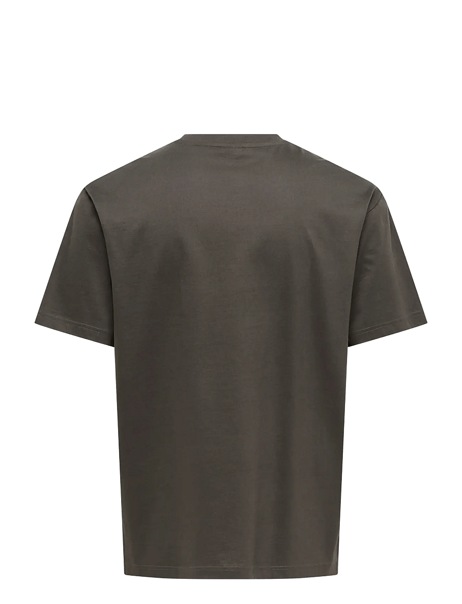 ONLY & SONS - ONSFRED LIFE RLX SS TEE NOOS - kurzärmelige t-shirts - beluga - 2