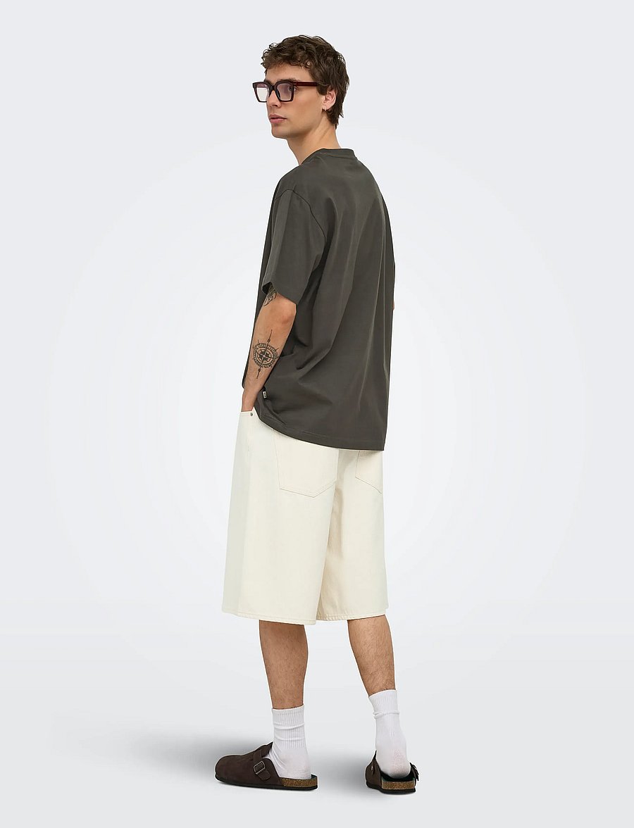 ONLY & SONS - ONSFRED LIFE RLX SS TEE NOOS - kurzärmelige t-shirts - beluga - 3