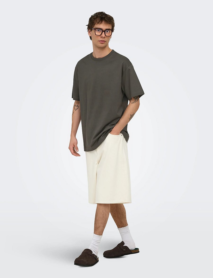ONLY & SONS - ONSFRED LIFE RLX SS TEE NOOS - kurzärmelige t-shirts - beluga - 4