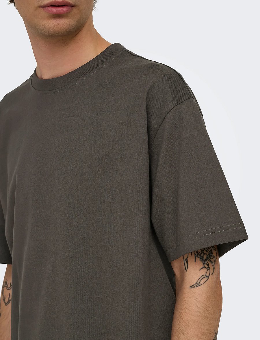 ONLY & SONS - ONSFRED LIFE RLX SS TEE NOOS - kurzärmelige t-shirts - beluga - 5