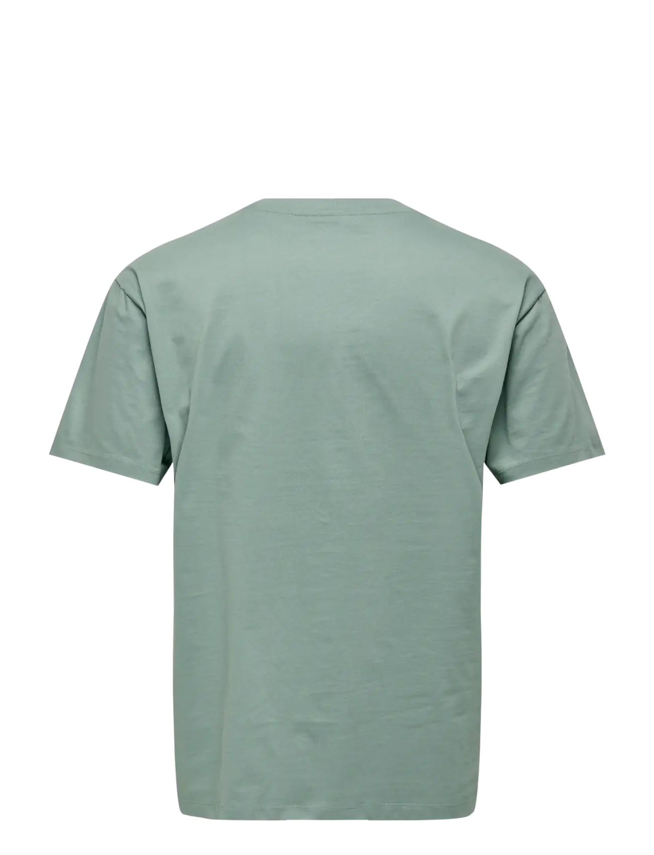 ONLY & SONS - ONSFRED LIFE RLX SS TEE NOOS - lühikeste varrukatega t-särgid - chinois green - 2