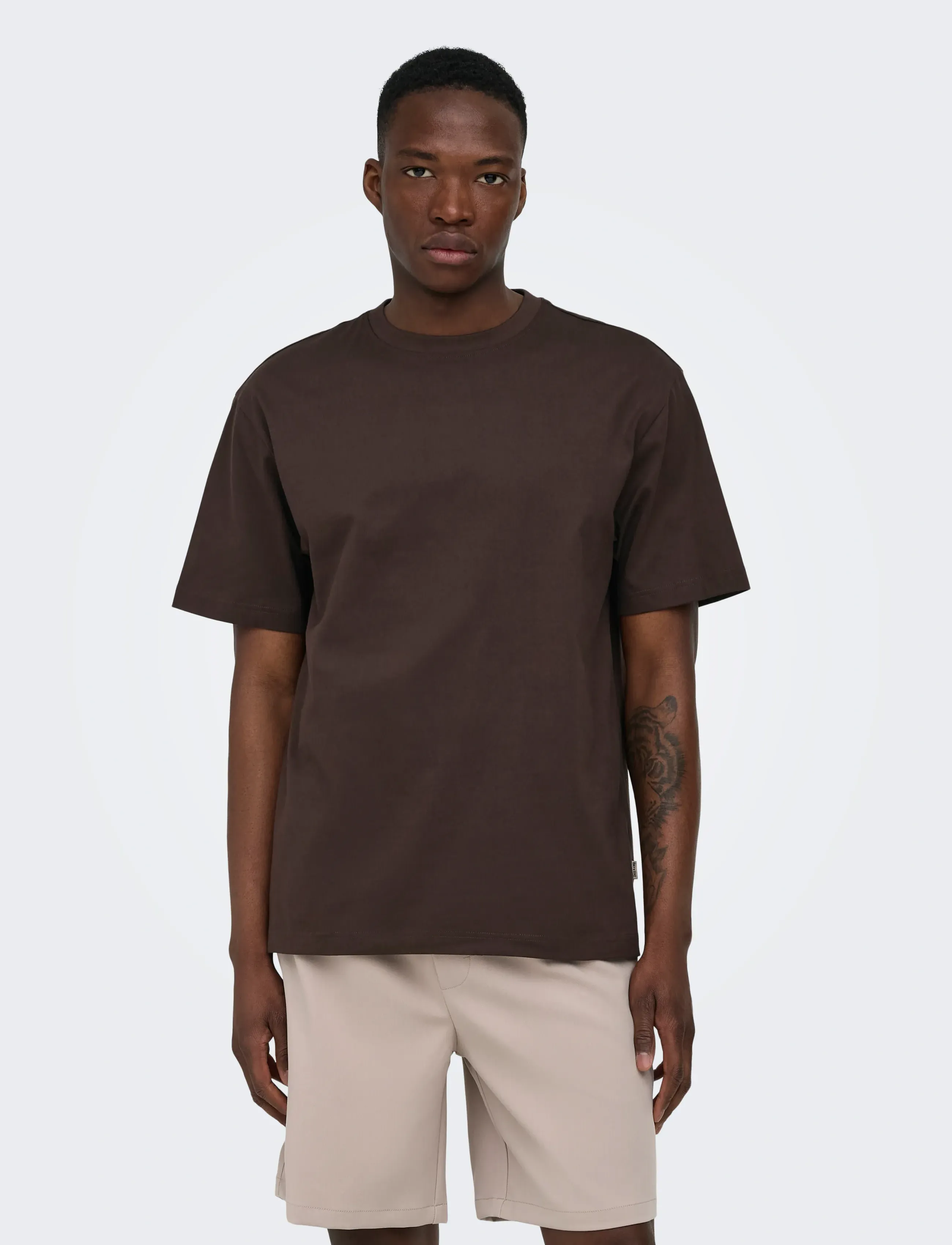 ONLY & SONS ONSFRED LIFE RLX SS TEE NOOS - Lühikeste varrukatega T-särgid - COFFEE BEAN / brown