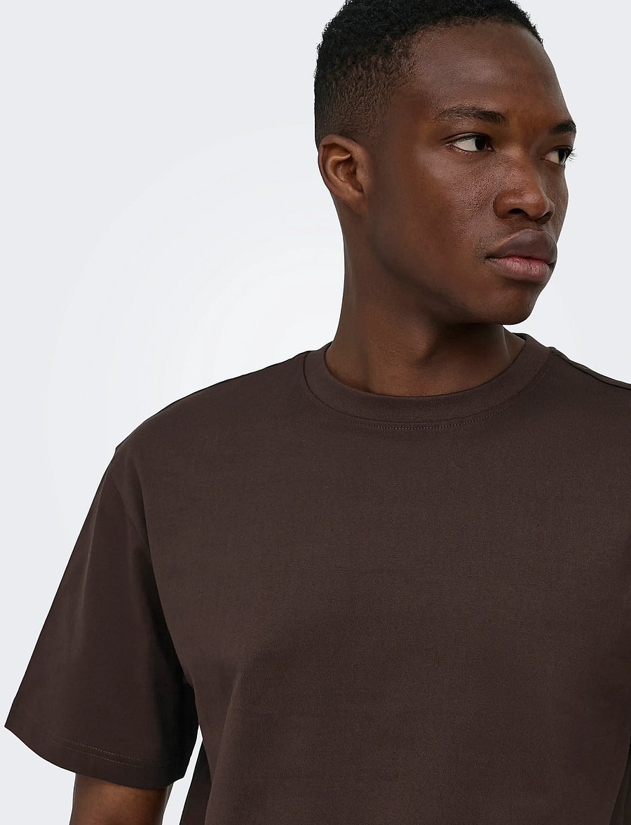 ONLY & SONS - ONSFRED LIFE RLX SS TEE NOOS - kurzärmelige t-shirts - coffee bean - 5