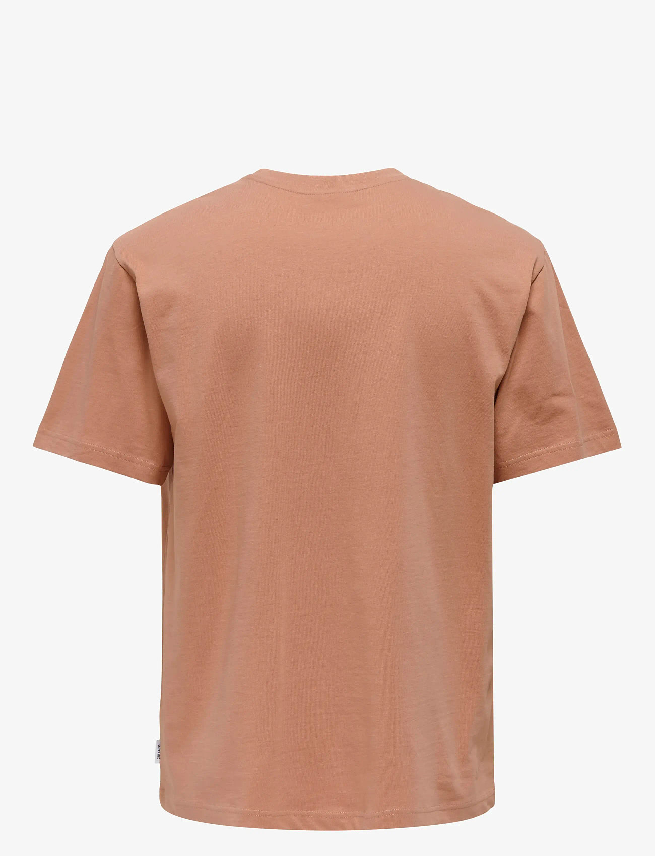 ONLY & SONS - ONSFRED LIFE RLX SS TEE NOOS - lühikeste varrukatega t-särgid - cork - 2
