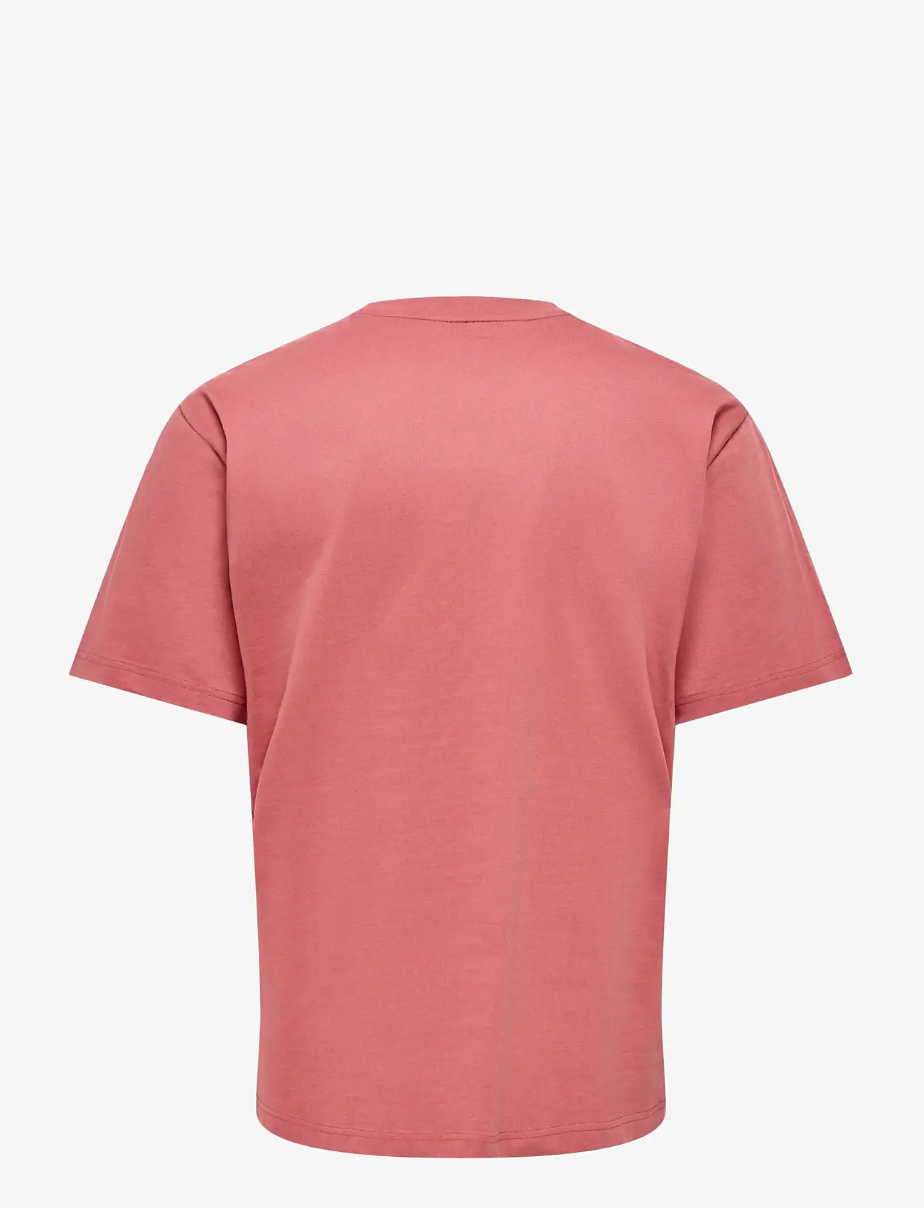 ONLY & SONS - ONSFRED LIFE RLX SS TEE NOOS - lühikeste varrukatega t-särgid - dusty cedar - 2