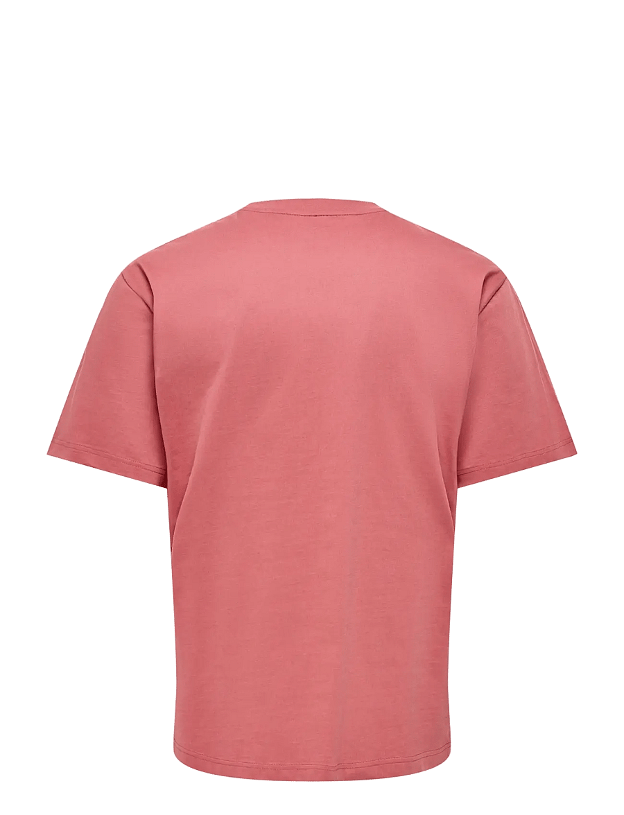 ONLY & SONS - ONSFRED LIFE RLX SS TEE NOOS - kurzärmelige t-shirts - dusty cedar - 2