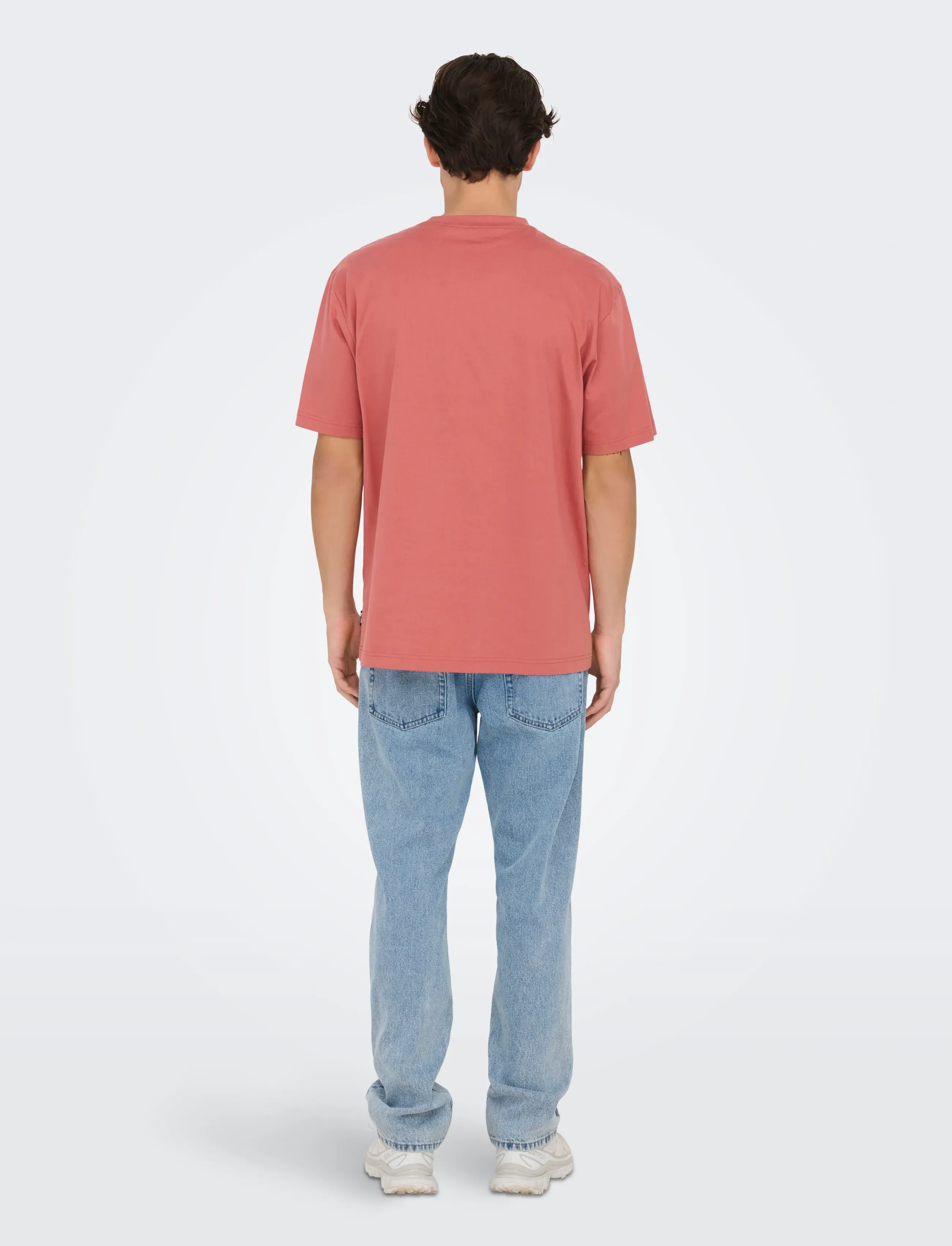 ONLY & SONS - ONSFRED LIFE RLX SS TEE NOOS - kurzärmelig - dusty cedar - 3