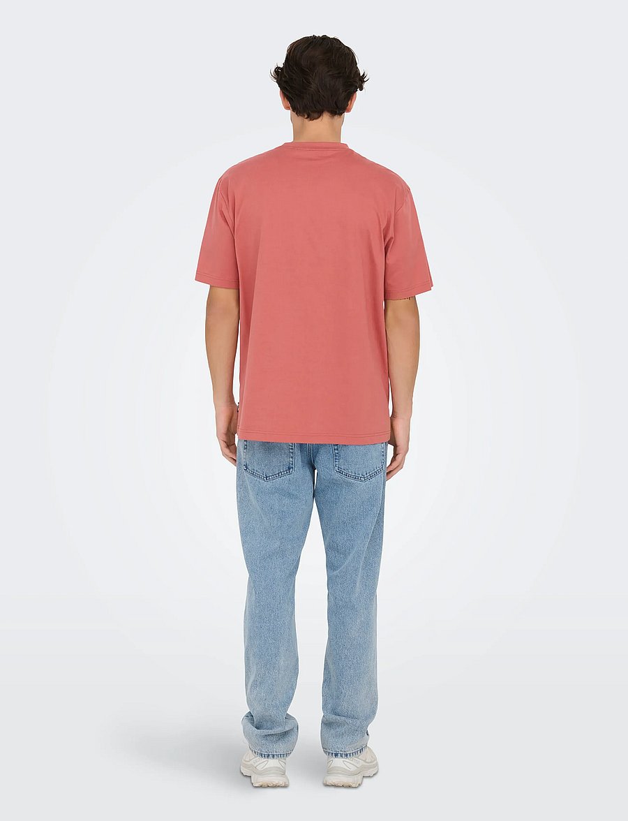 ONLY & SONS - ONSFRED LIFE RLX SS TEE NOOS - kurzärmelige t-shirts - dusty cedar - 3