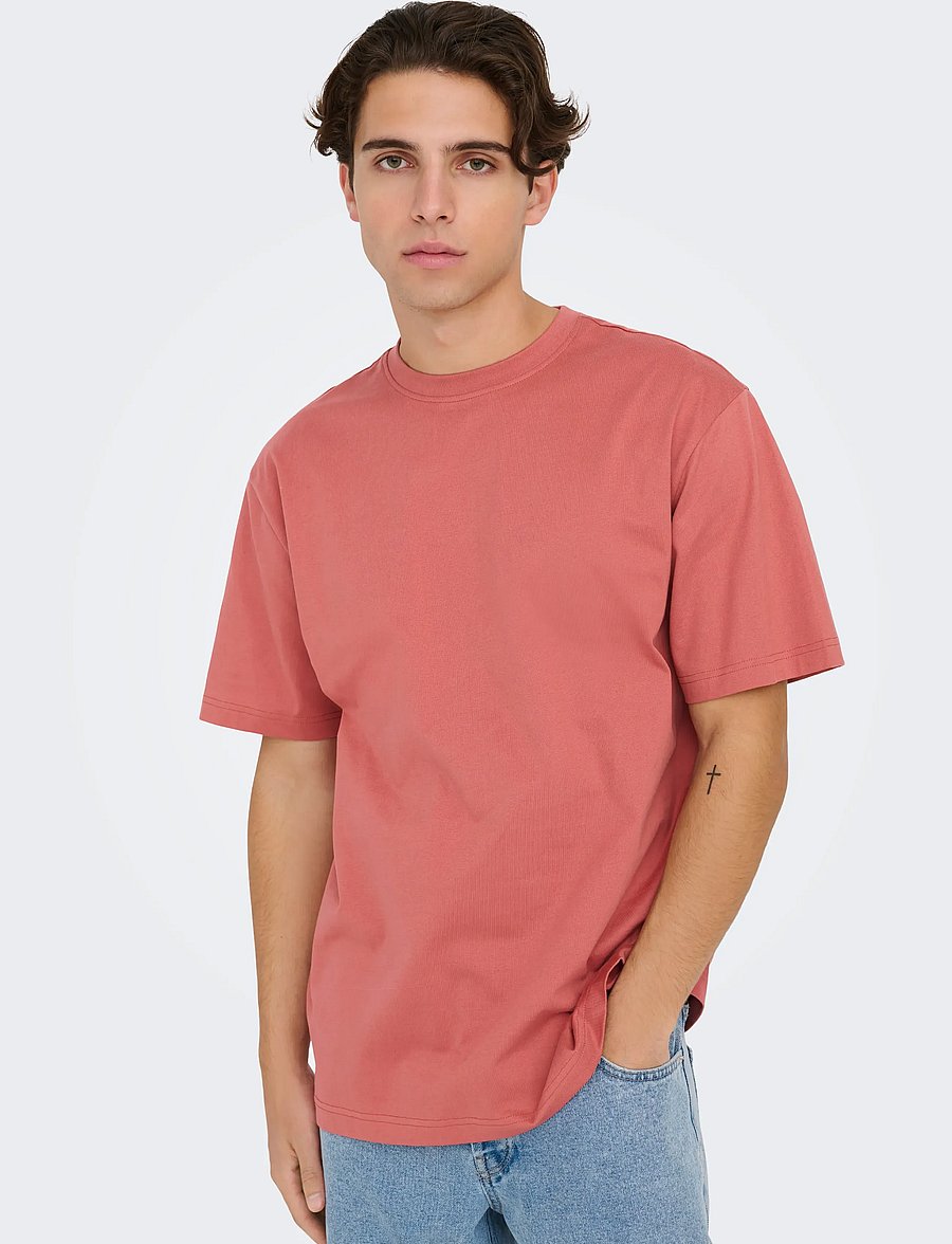 ONLY & SONS - ONSFRED LIFE RLX SS TEE NOOS - kurzärmelige t-shirts - dusty cedar - 5