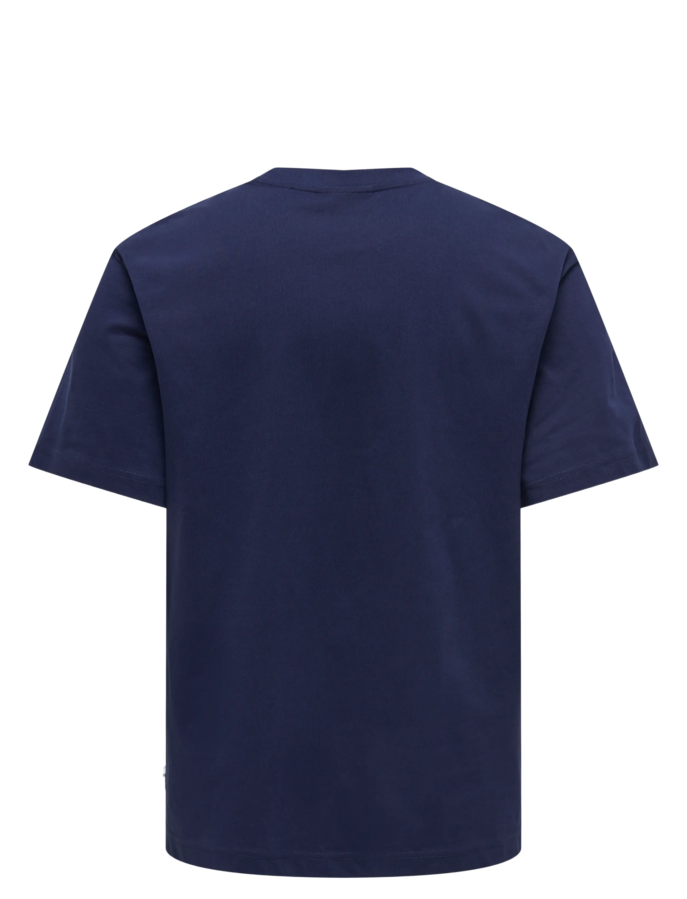 ONLY & SONS - ONSFRED LIFE RLX SS TEE NOOS - kurzärmelig - evening blue - 1