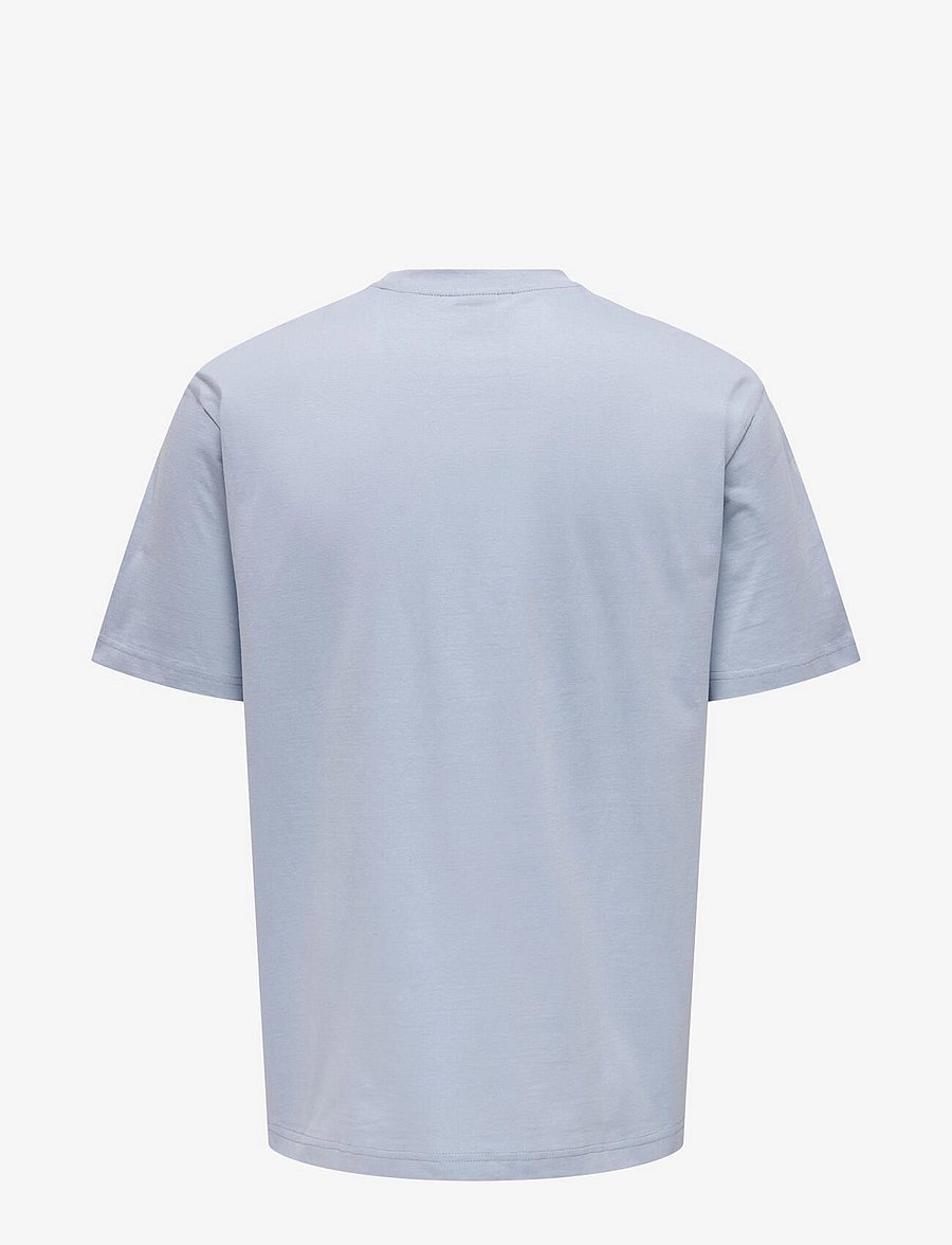 ONLY & SONS - ONSFRED LIFE RLX SS TEE NOOS - kurzärmelige t-shirts - eventide - 2