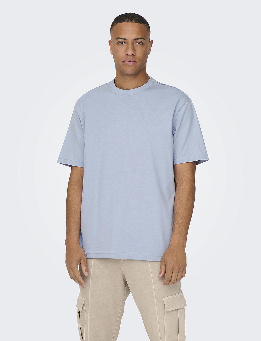 ONLY & SONS - ONSFRED LIFE RLX SS TEE NOOS - kurzärmelige t-shirts - eventide - 0