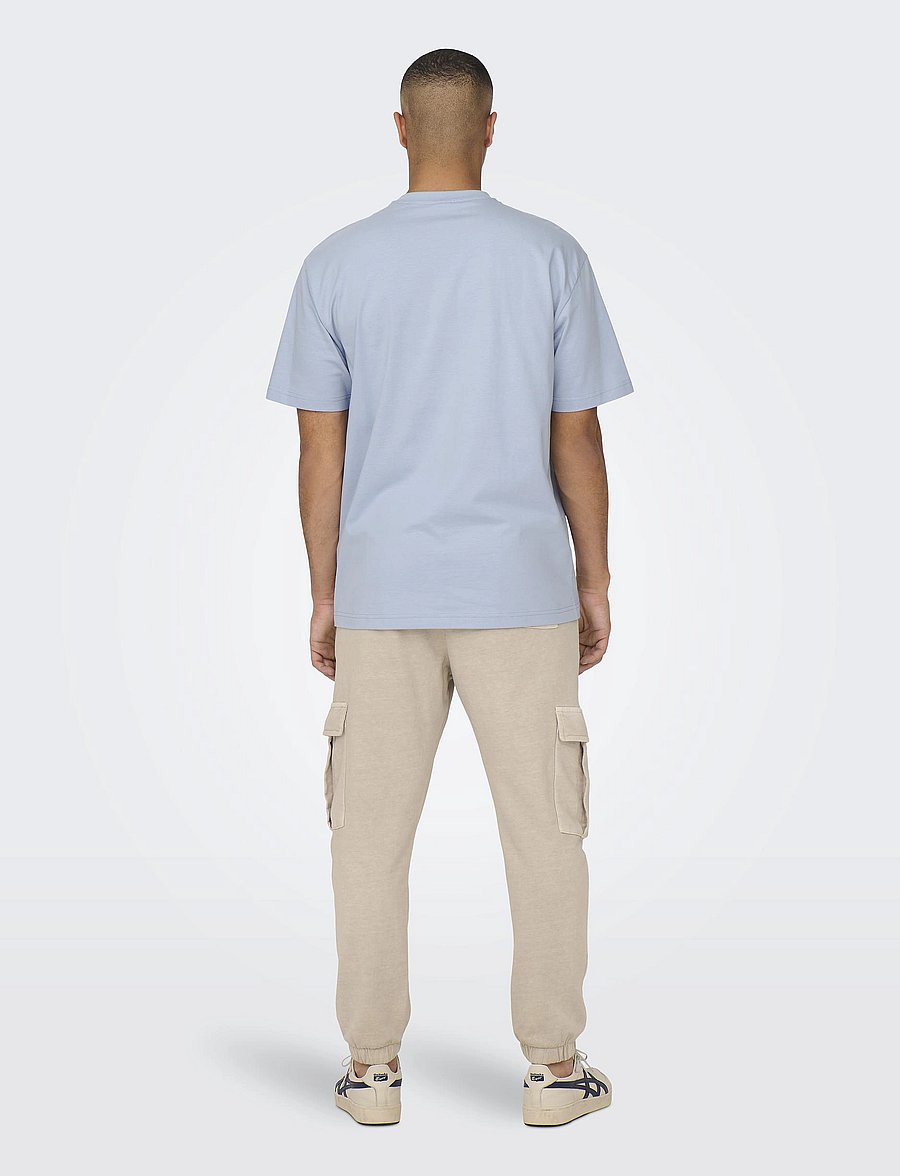 ONLY & SONS - ONSFRED LIFE RLX SS TEE NOOS - kurzärmelige t-shirts - eventide - 3