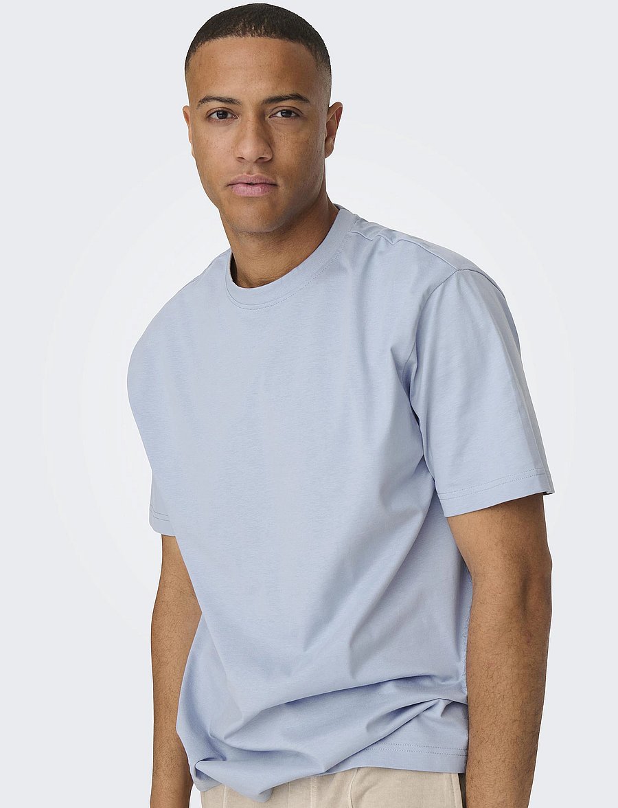 ONLY & SONS - ONSFRED LIFE RLX SS TEE NOOS - kurzärmelige t-shirts - eventide - 5