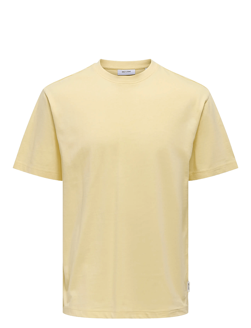 ONLY & SONS - ONSFRED LIFE RLX SS TEE NOOS - kortærmede t-shirts - flan - 0