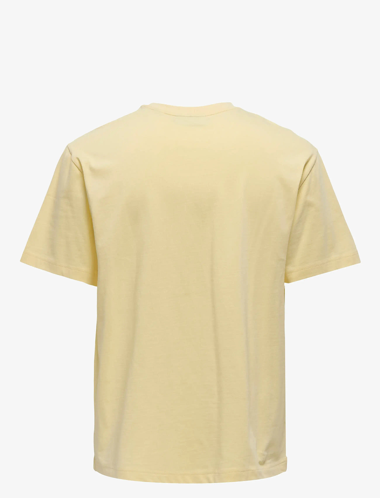 ONLY & SONS - ONSFRED LIFE RLX SS TEE NOOS - marškinėliai trumpomis rankovėmis - flan - 1