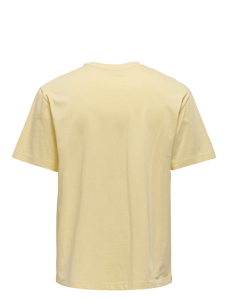 ONLY & SONS - ONSFRED LIFE RLX SS TEE NOOS - kortærmede t-shirts - flan - 1