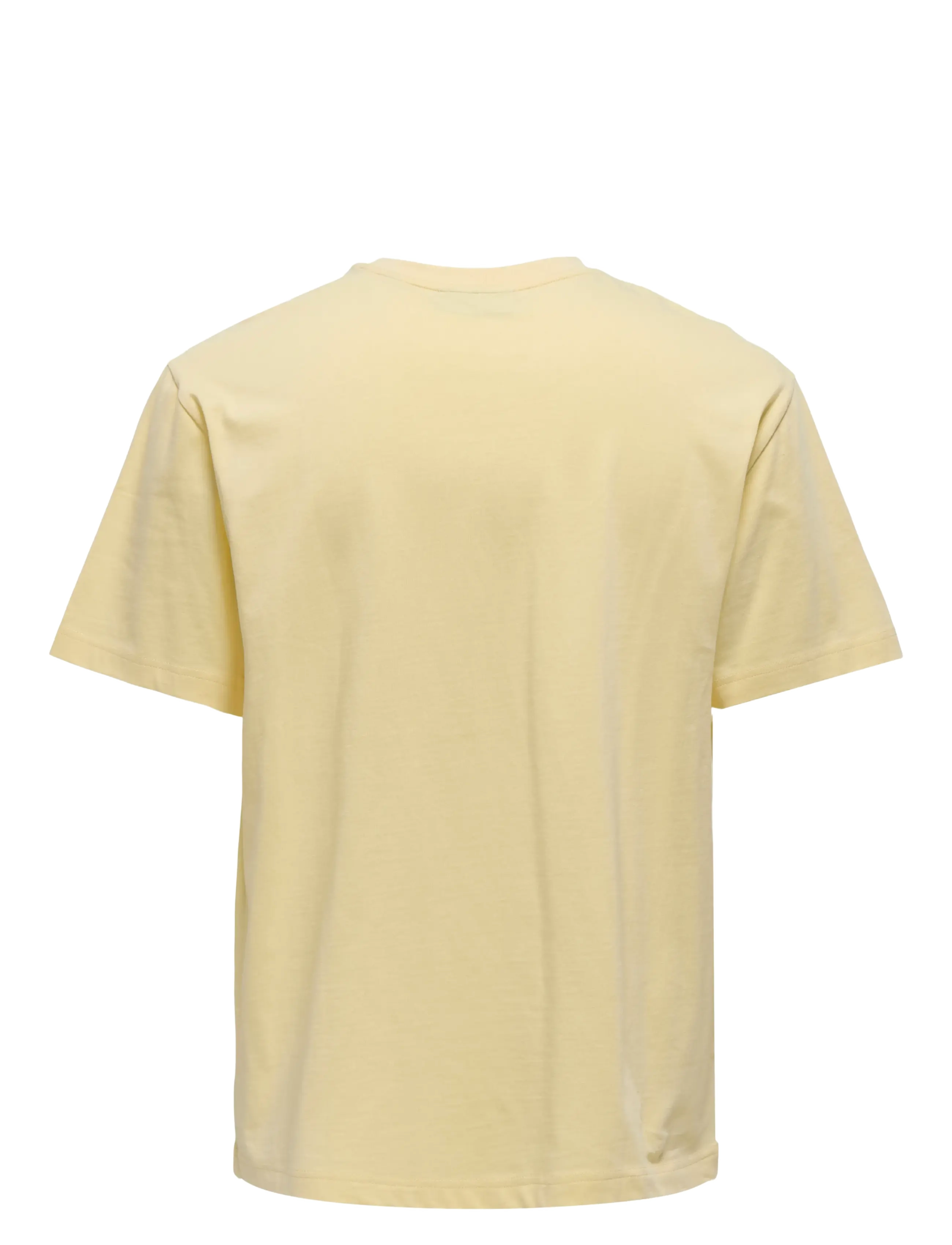 ONLY & SONS - ONSFRED LIFE RLX SS TEE NOOS - kortärmade t-shirts - flan - 1
