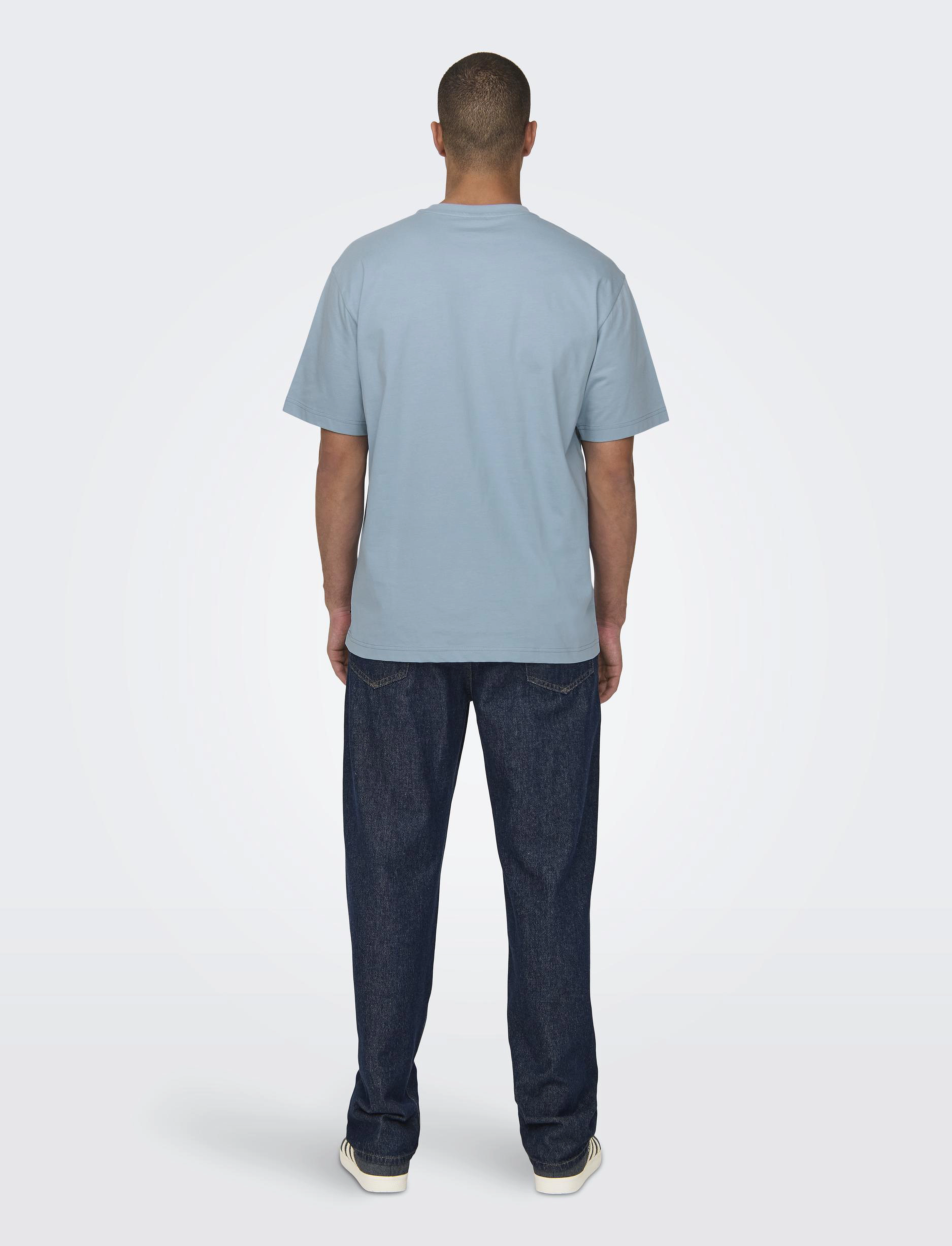 ONLY & SONS - ONSFRED LIFE RLX SS TEE NOOS - laveste priser - glacier lake - 3