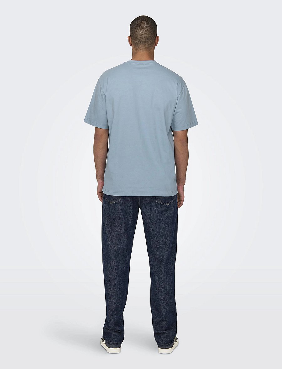ONLY & SONS - ONSFRED LIFE RLX SS TEE NOOS - lühikeste varrukatega t-särgid - glacier lake - 3
