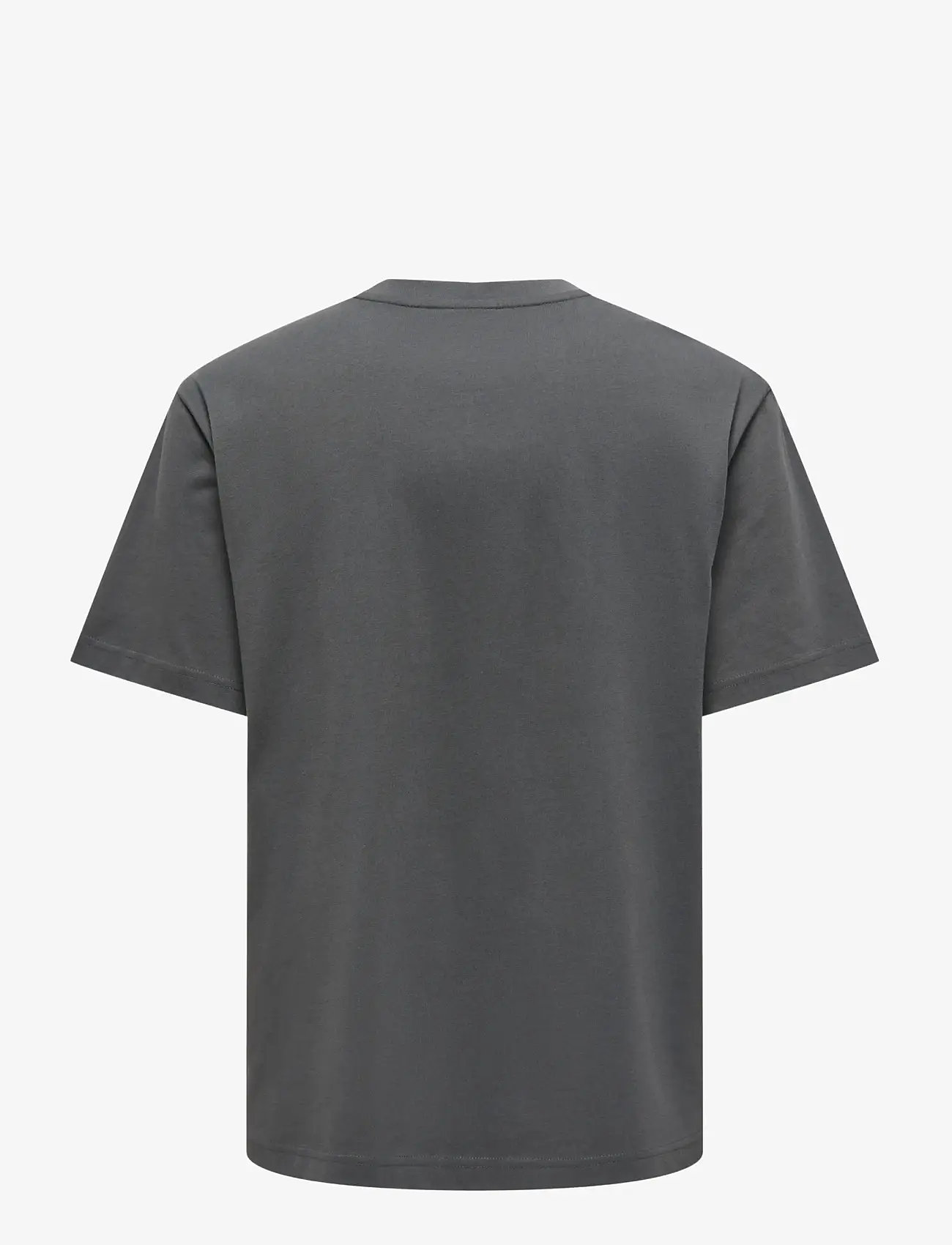 ONLY & SONS - ONSFRED LIFE RLX SS TEE NOOS - kortärmade t-shirts - grey pinstripe - 2