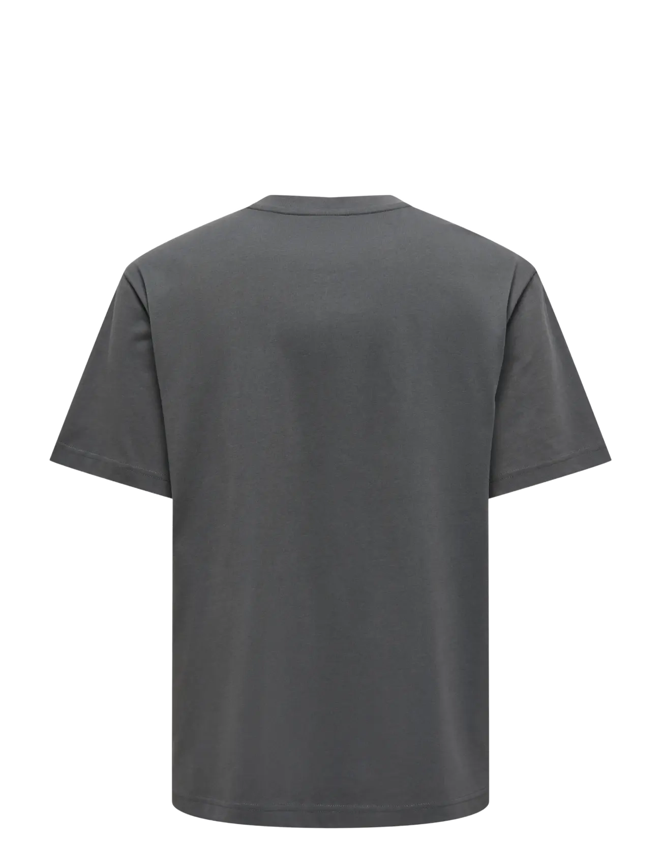 ONLY & SONS - ONSFRED LIFE RLX SS TEE NOOS - kurzärmelig - grey pinstripe - 2