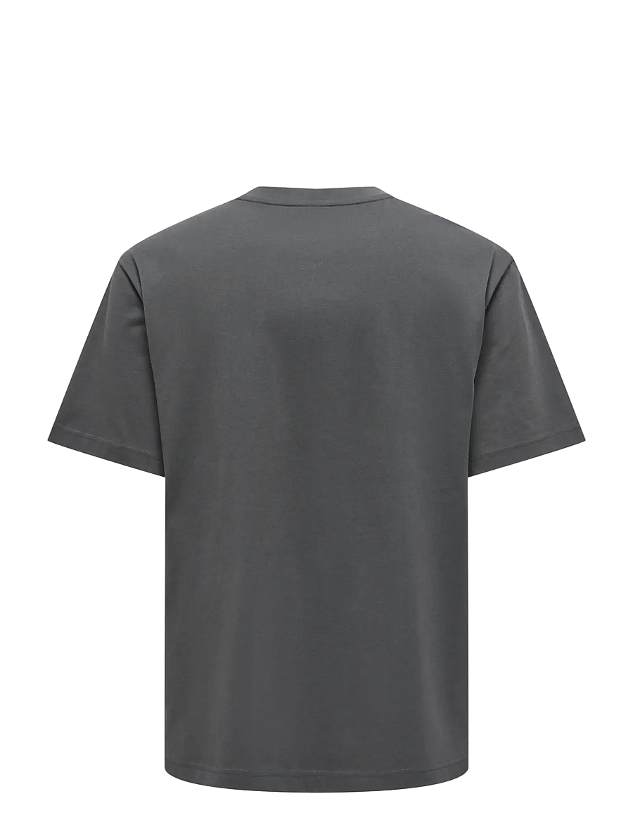 ONLY & SONS - ONSFRED LIFE RLX SS TEE NOOS - lühikeste varrukatega t-särgid - grey pinstripe - 2
