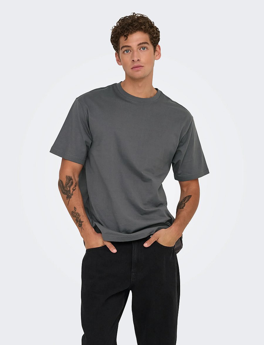 ONLY & SONS - ONSFRED LIFE RLX SS TEE NOOS - lühikeste varrukatega t-särgid - grey pinstripe - 0