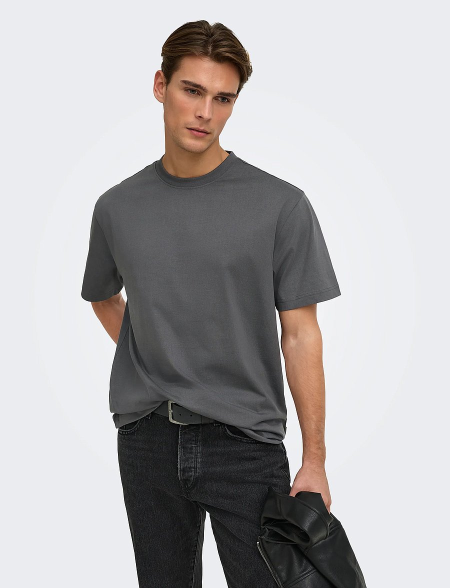 ONLY & SONS - ONSFRED LIFE RLX SS TEE NOOS - kortærmede t-shirts - grey pinstripe - 0