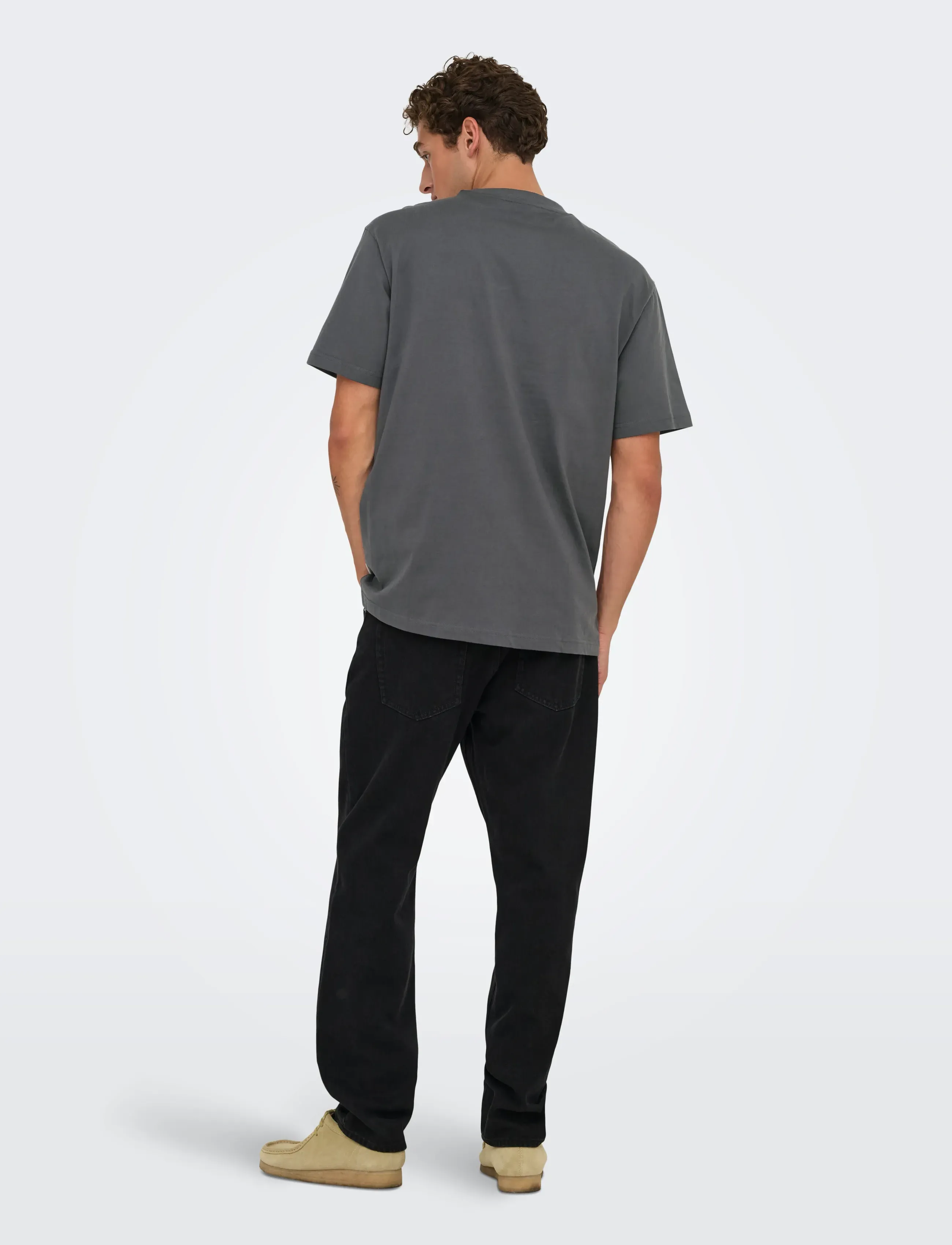 ONLY & SONS - ONSFRED LIFE RLX SS TEE NOOS - kurzärmelig - grey pinstripe - 3