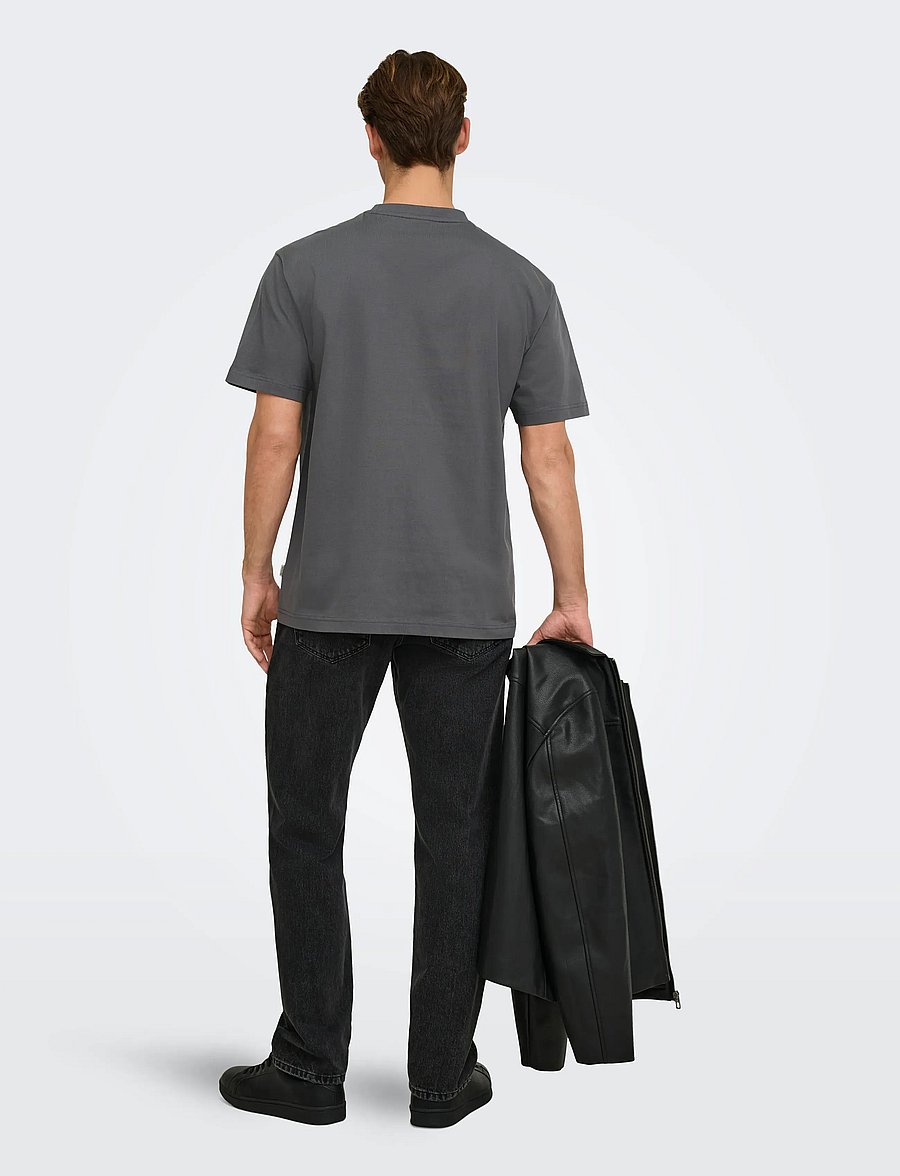 ONLY & SONS - ONSFRED LIFE RLX SS TEE NOOS - kortærmede t-shirts - grey pinstripe - 3