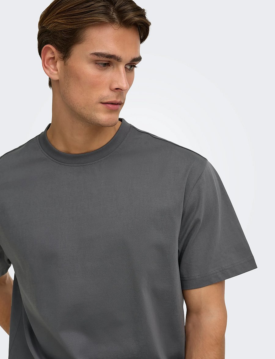ONLY & SONS - ONSFRED LIFE RLX SS TEE NOOS - kortærmede t-shirts - grey pinstripe - 5