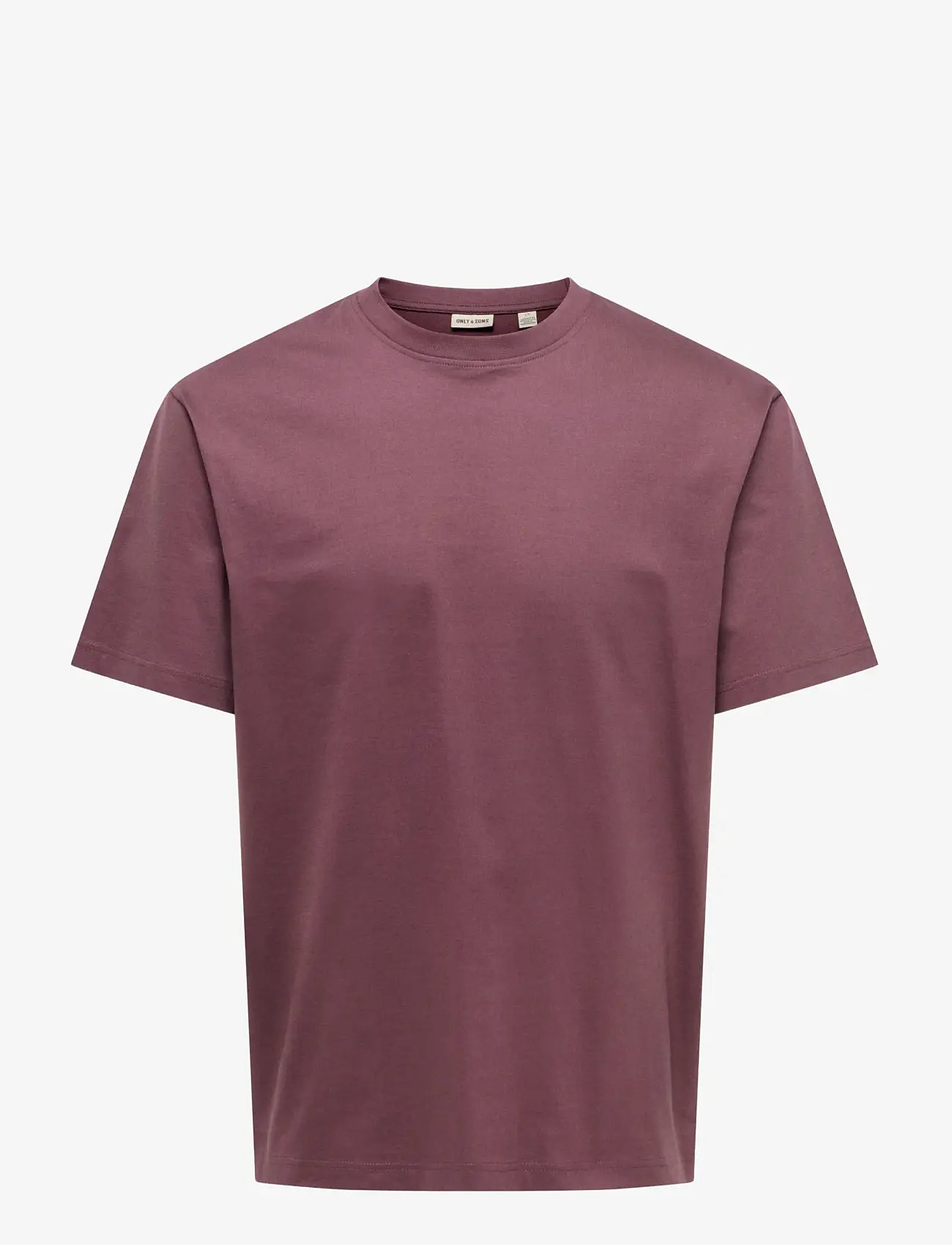 ONLY & SONS - ONSFRED LIFE RLX SS TEE NOOS - lühikeste varrukatega t-särgid - huckleberry - 1
