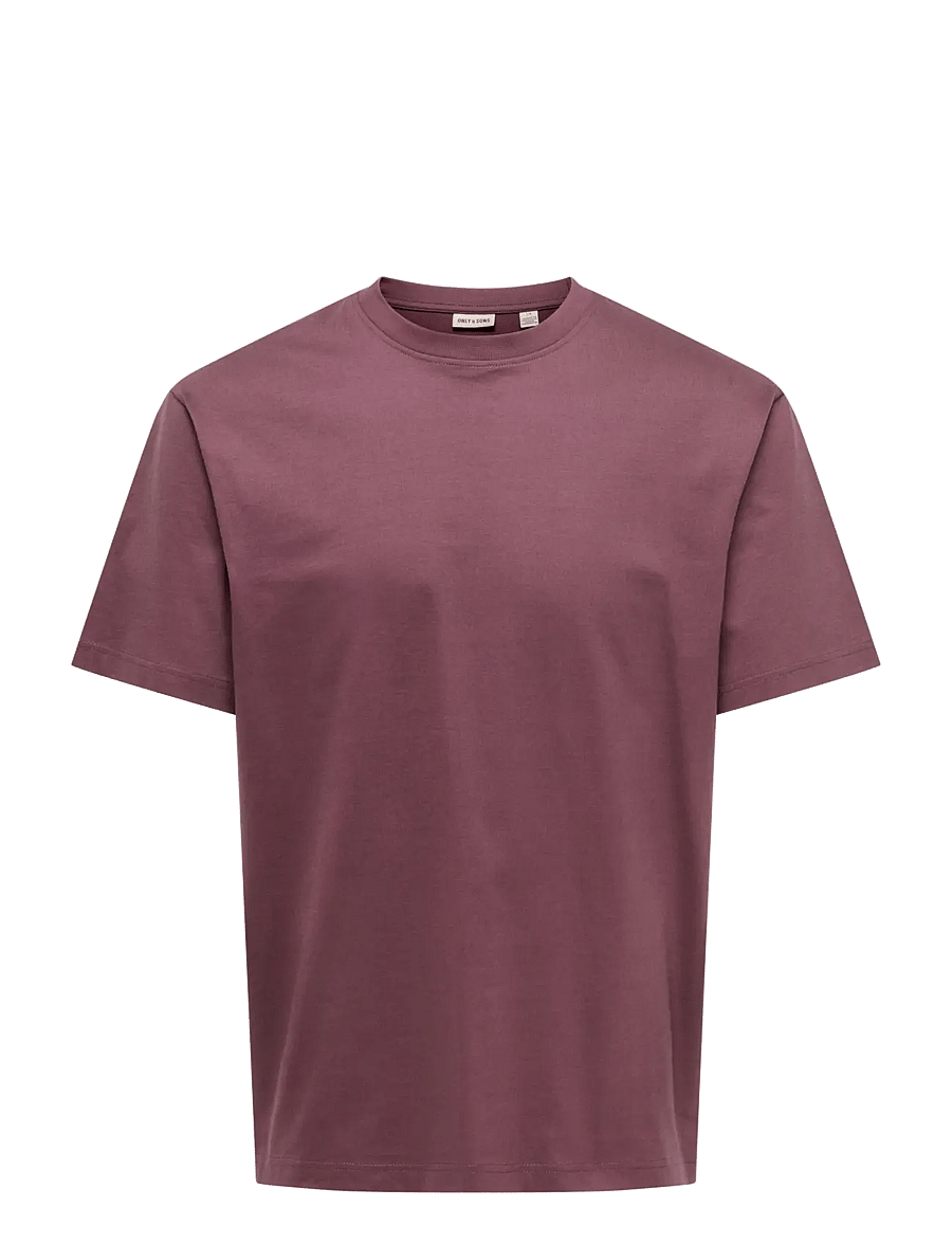 ONLY & SONS - ONSFRED LIFE RLX SS TEE NOOS - kortærmede t-shirts - huckleberry - 1